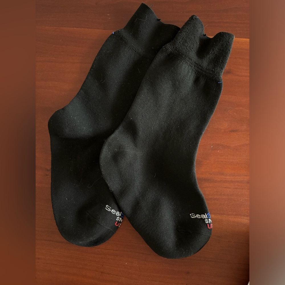 Sealskinz Waterproof Socks - small